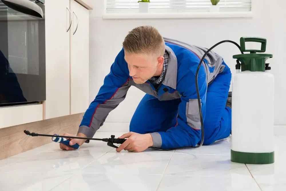 Best Pest Control Rutherford County